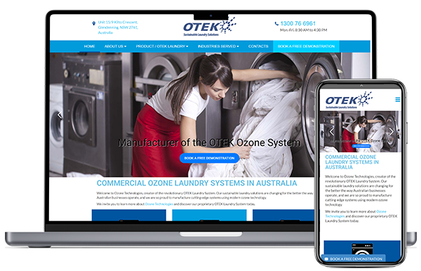 Professional web design services