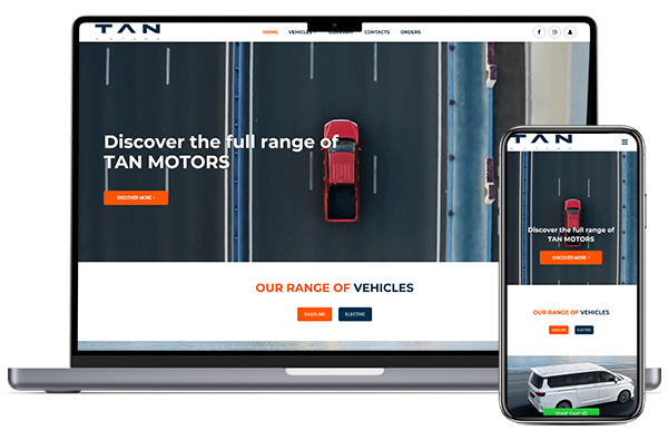 Professional web design services